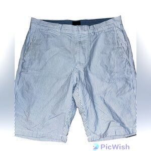 J Crew Blue & White striped shorts
